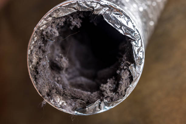 Best Residential Air Duct Cleaning  in Montesano, WA